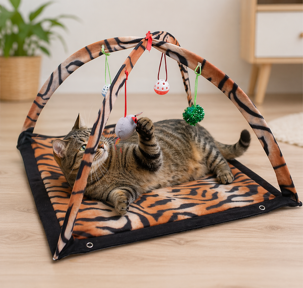 Cat Play Mat With Arch Toys