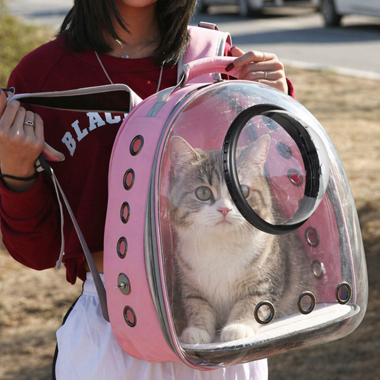 Travel Bag For Cat
